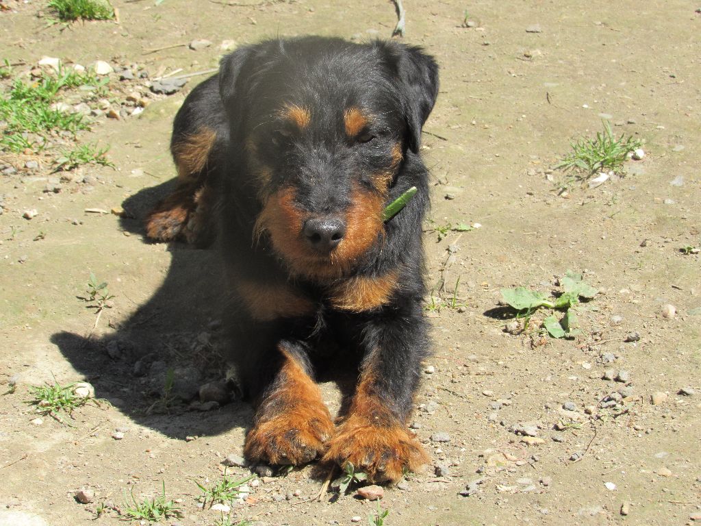 Publication : De L'Arche Des Anges Noirs Auteur : MOI 