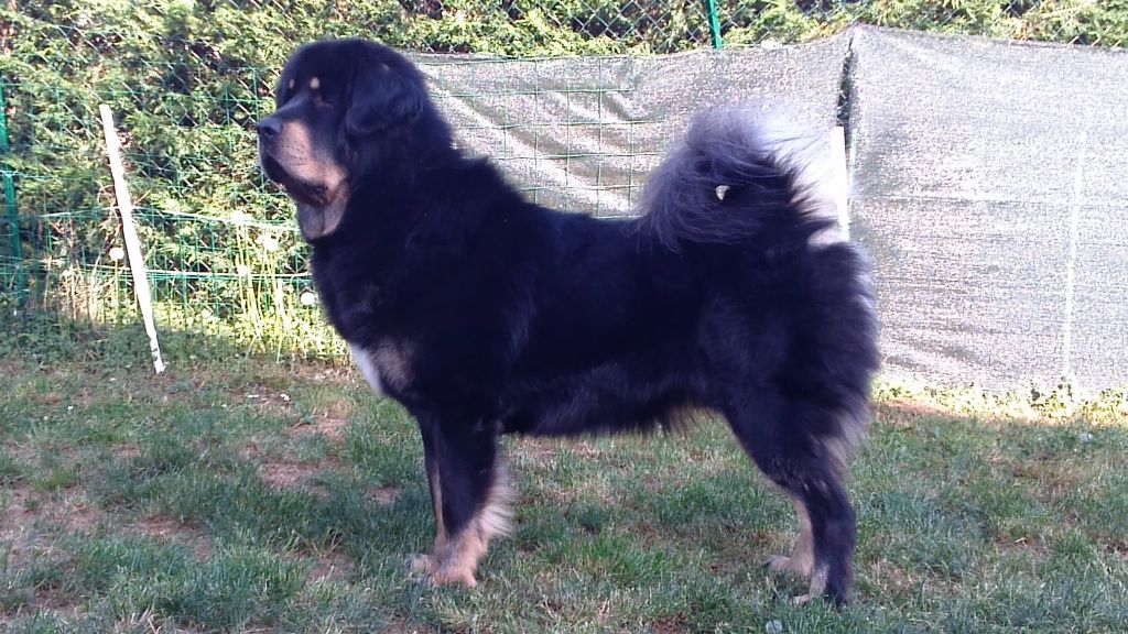 Publication : (Sans Affixe)