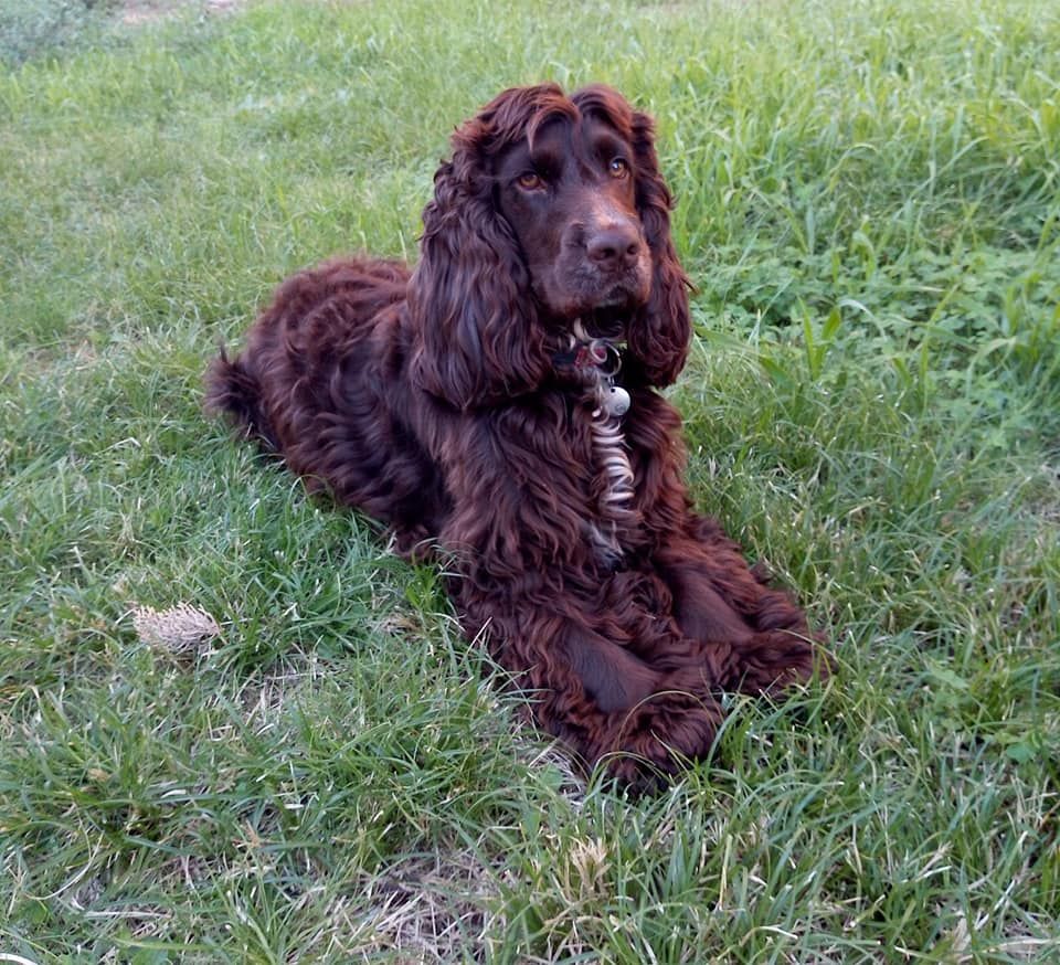 Publication : (Sans Affixe)