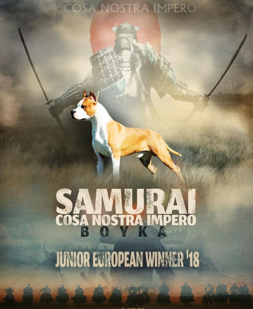 CH. Samurai cosa nostra impero