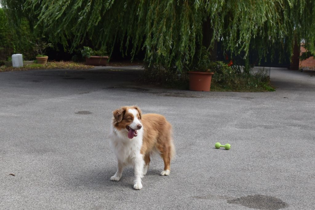 Publication : De la terre des deux caps Auteur : Mme regnault