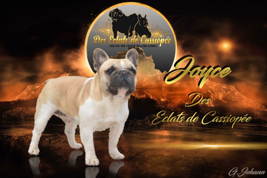 Joyce Des éclats De Cassiopée