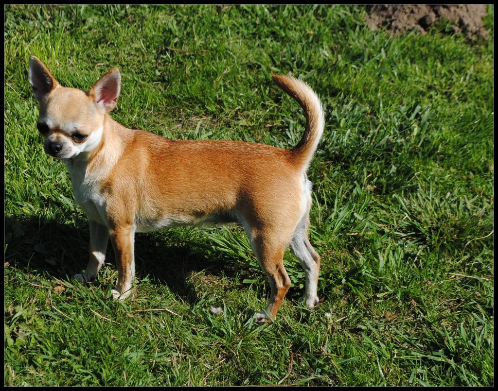 Publication : Des Dunes De Keremma Auteur : sophie urien