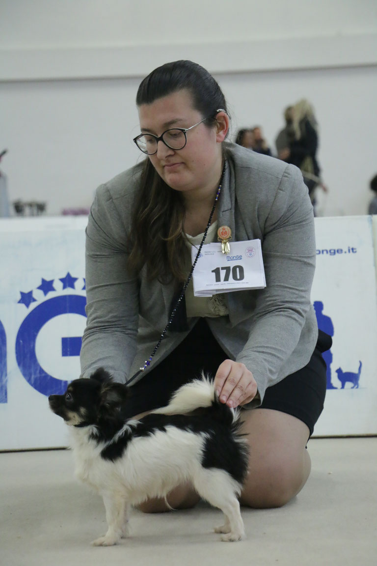 Publication : Dei Bordigotti