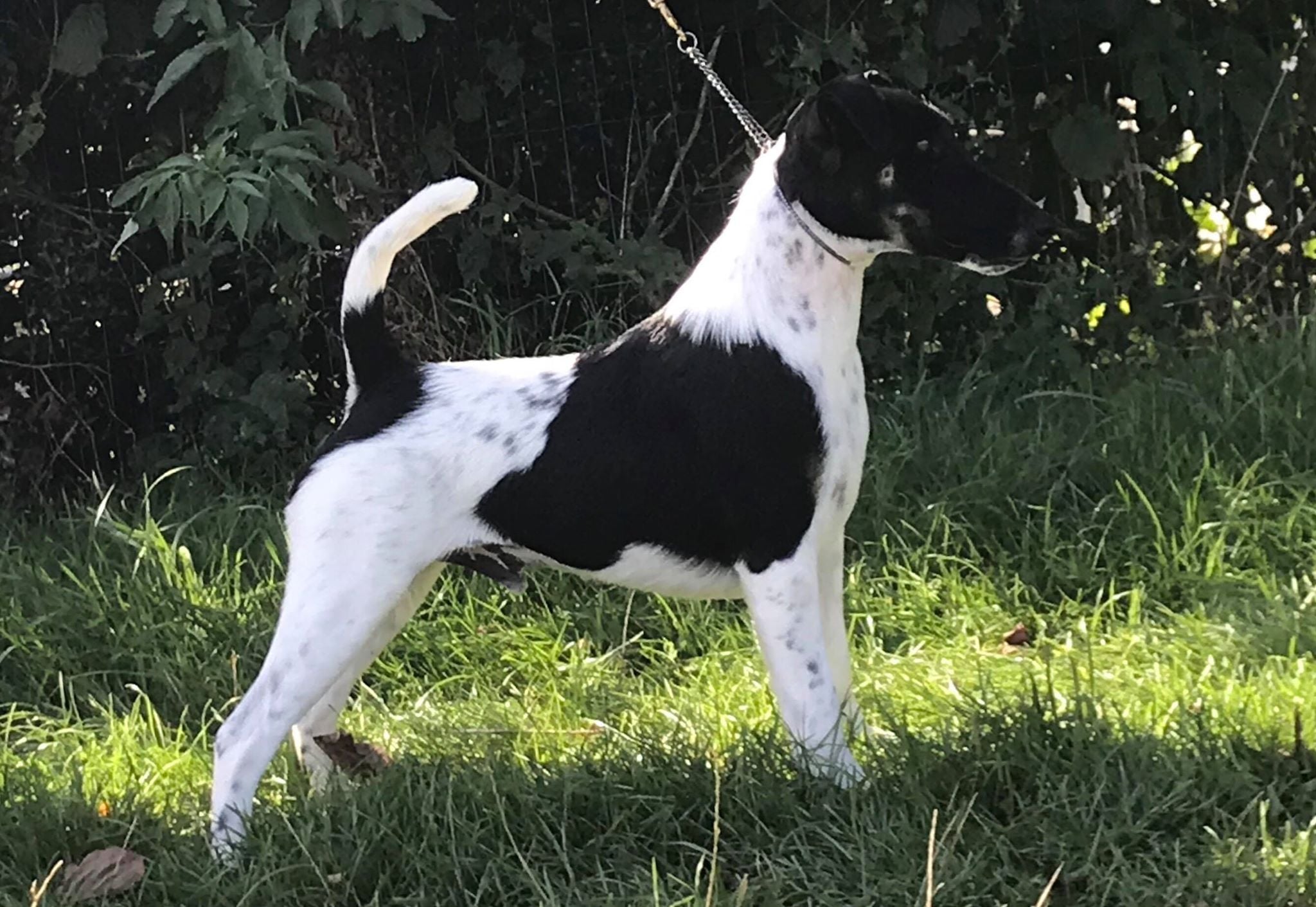 Publication : des Astucieux de Kerlabour 