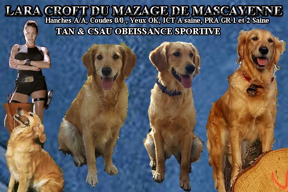 Publication : Du mazage de mascayenne 