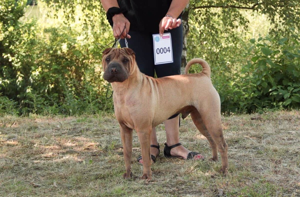 Publication : Du Bouquet Imperial Auteur : VL