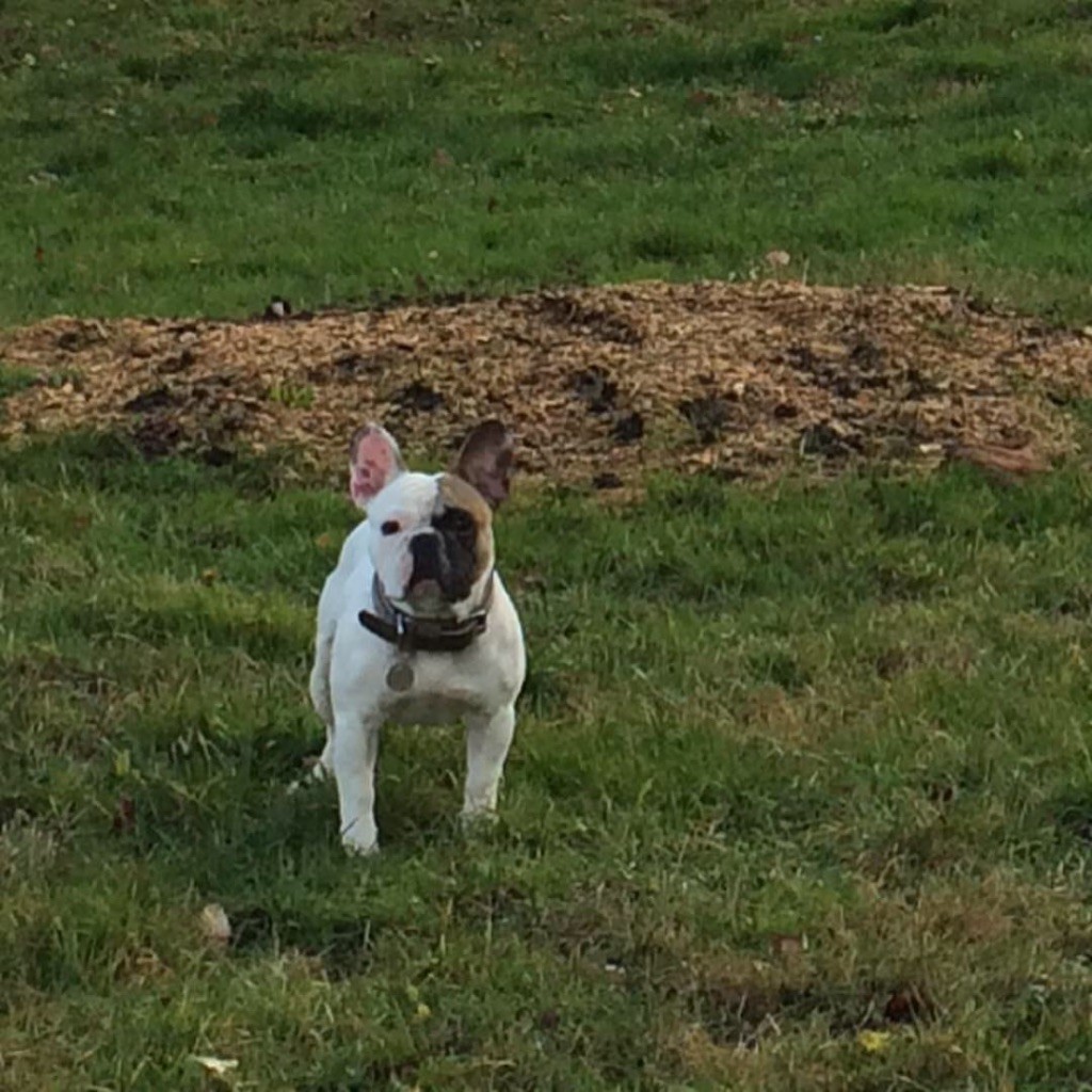 Publication : des Ocres De Provence Auteur : Jerome Rochey