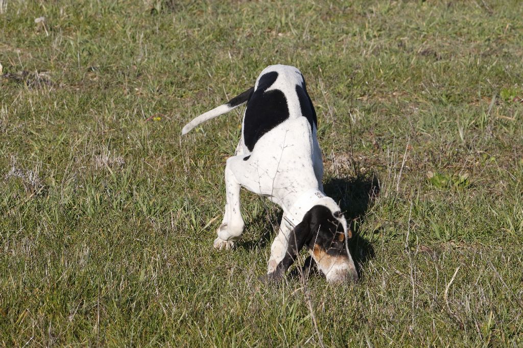 Publication : des Echos de Puymerle 