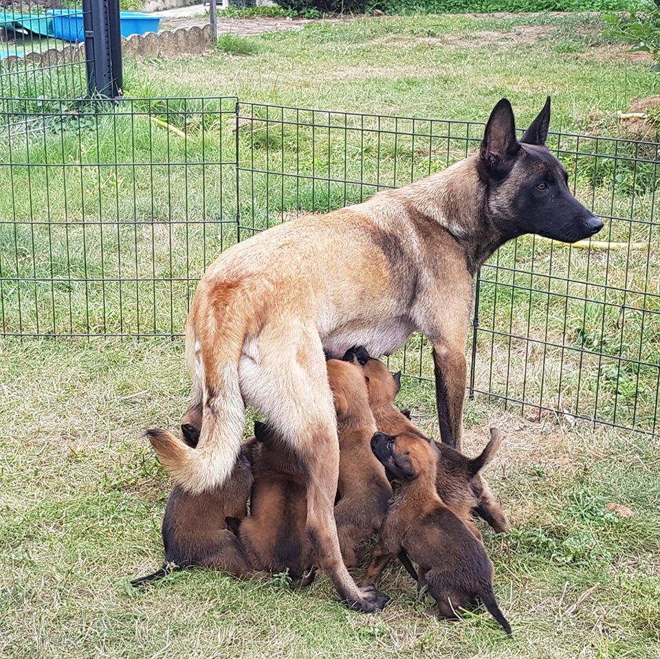 Publication : des gardiens d'Athéna