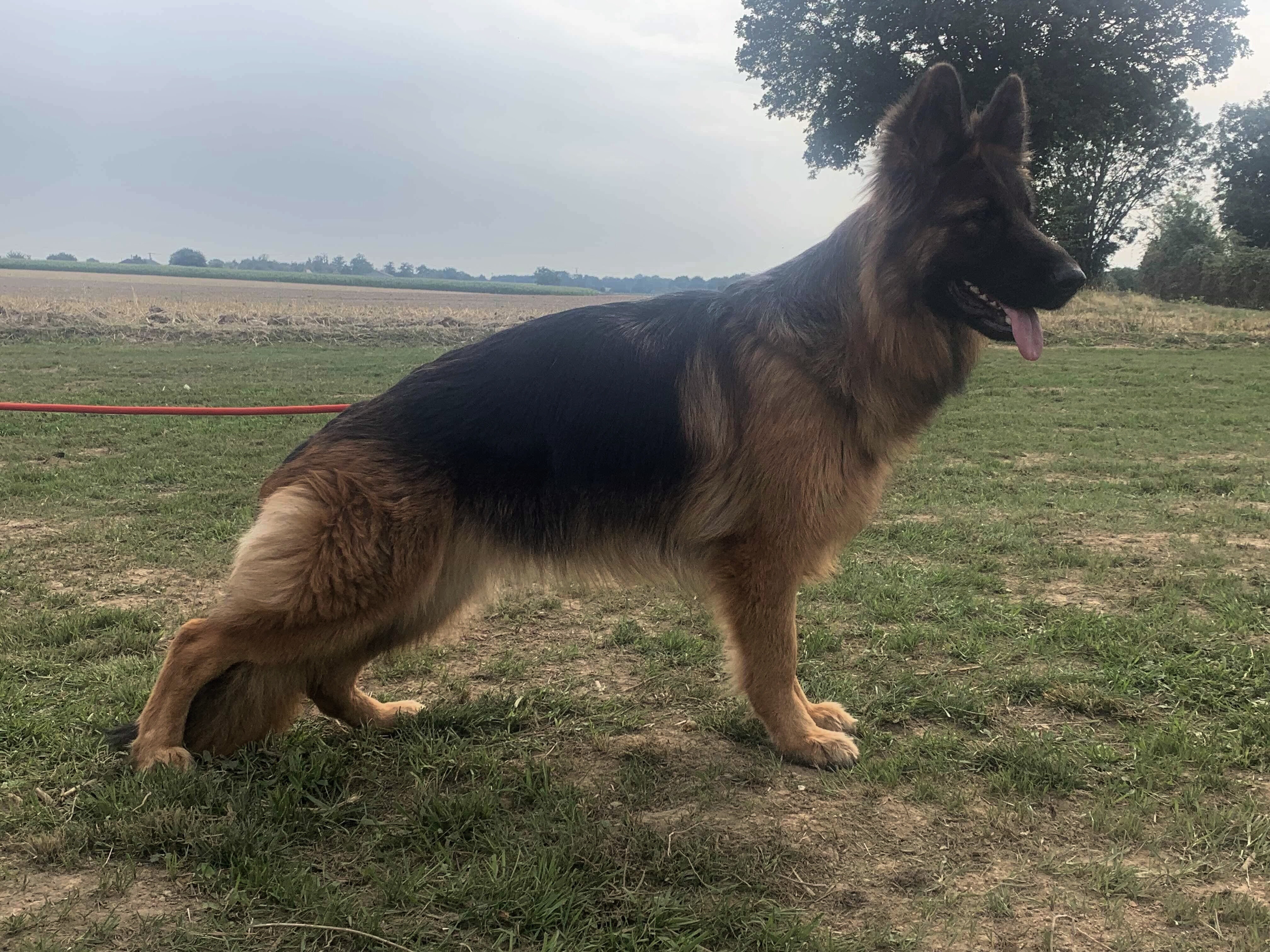 Publication : De La Seigneuriale Auteur : Baptista - de La Seigneuriale