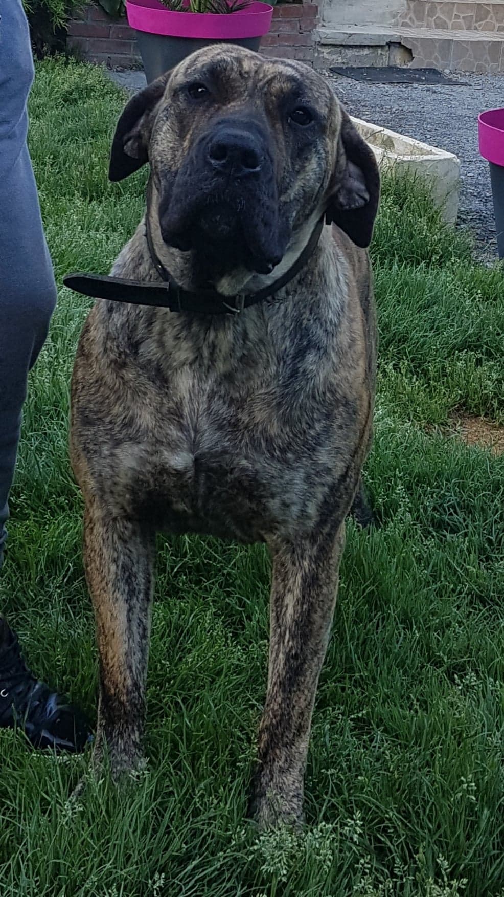 Publication : du hameau de fontenay 