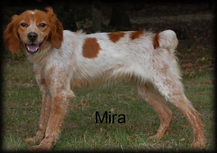 Publication : (Sans Affixe) 