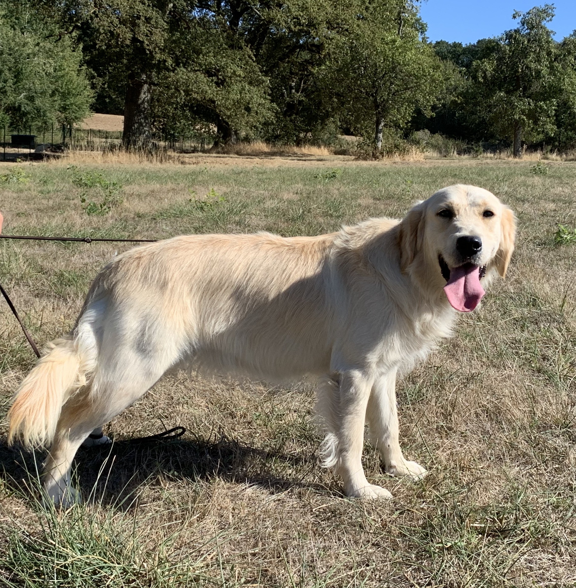 Publication : de la vallée de l'empereur