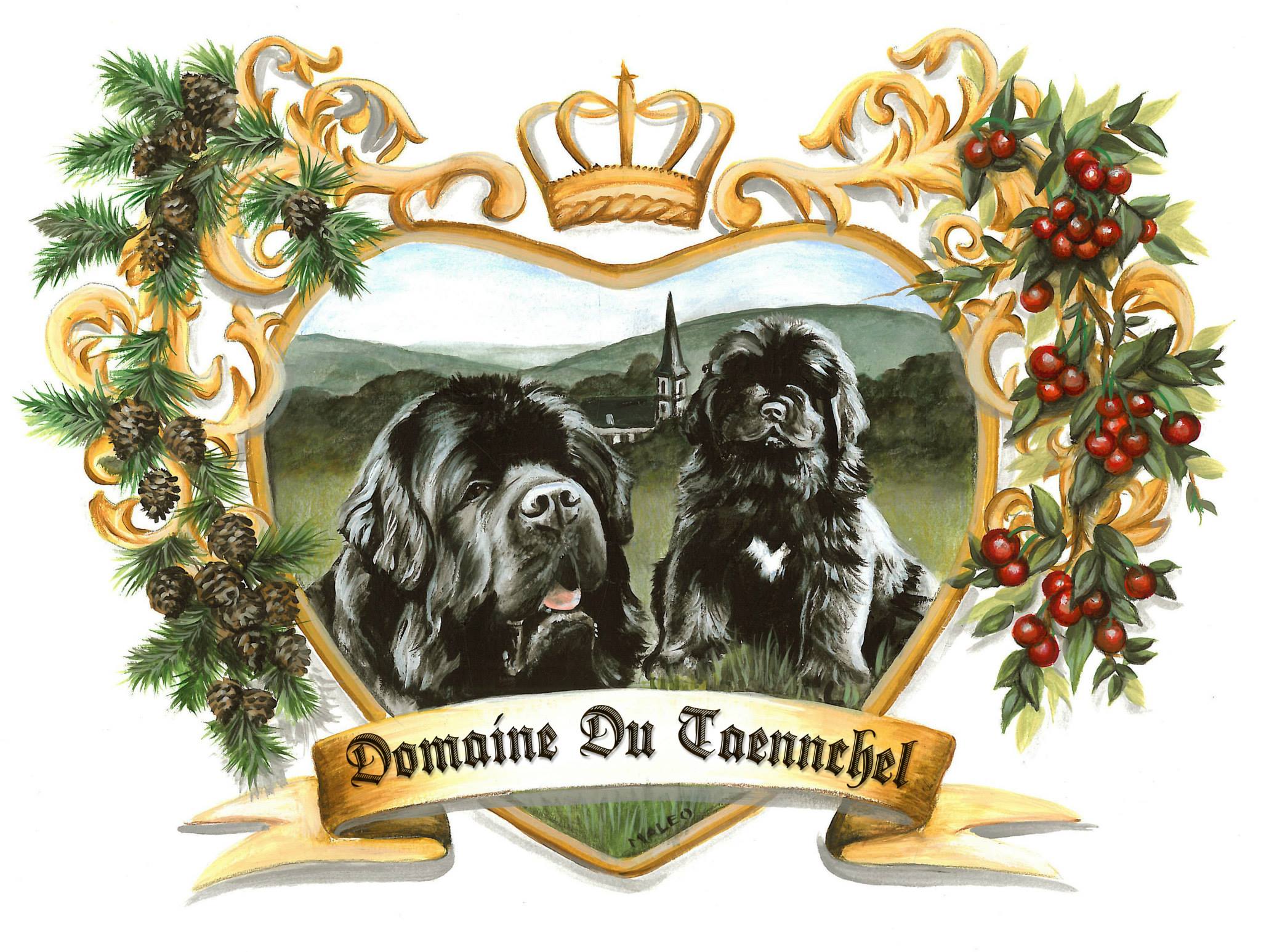 Publication : du domaine du Taennchel Auteur : DOMAINE DU TAENNCHEL