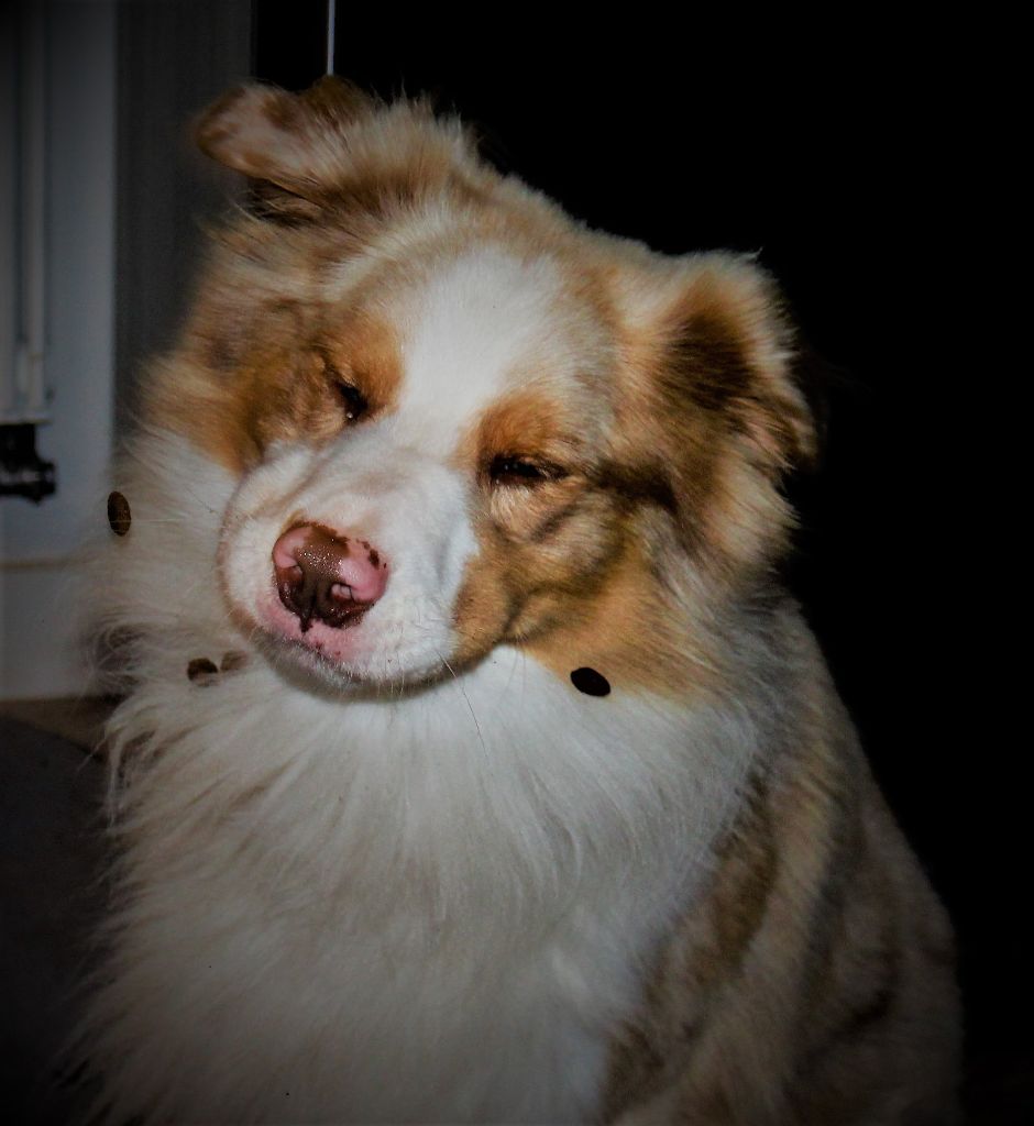 Publication : (Sans Affixe) Auteur : proprietaire