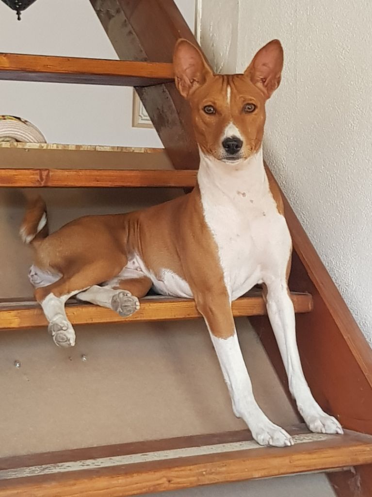 Publication : De La Tribu Val'elsy 