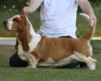 CH. lake park Kim basinger