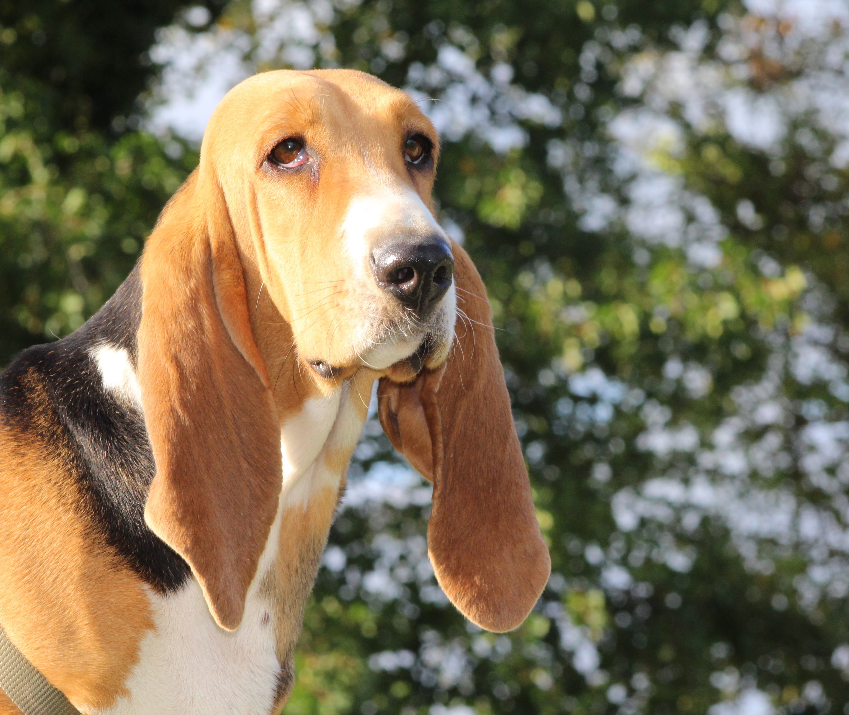 Publication : de l'air salin Auteur : C. Fréville