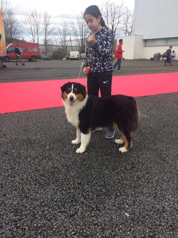 Publication : De La Vallée Magique 