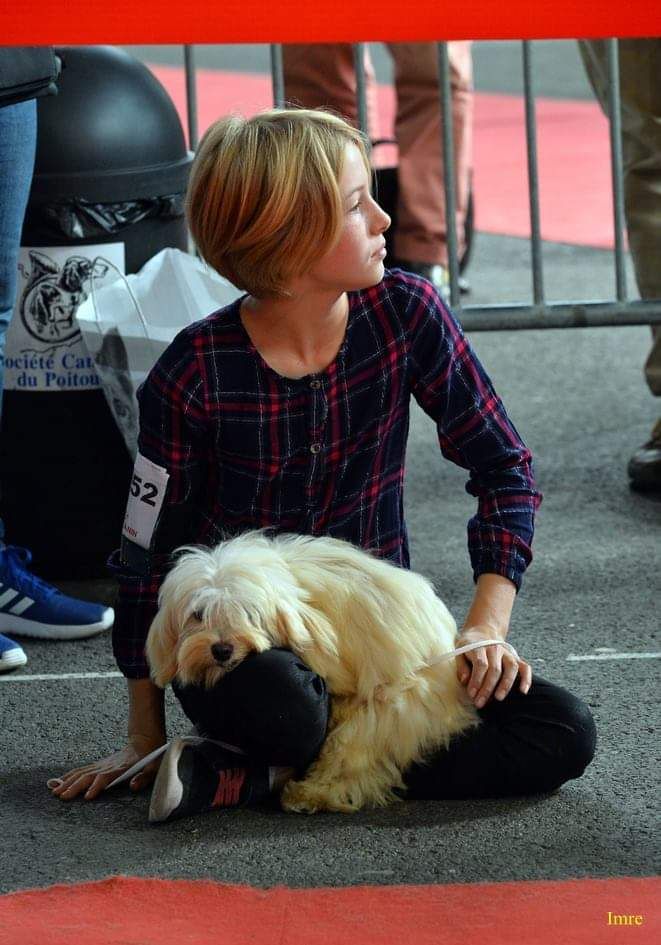 Publication : de l eternel mitness