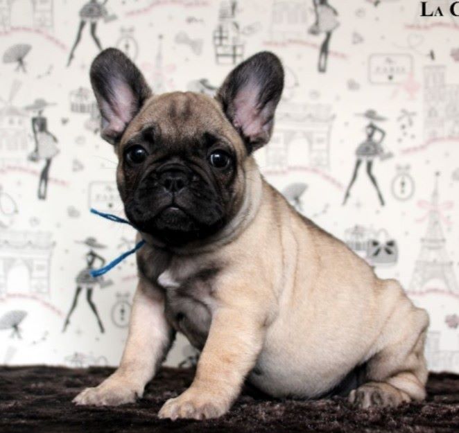 P'tit bourgeois de la Croix d'Atal