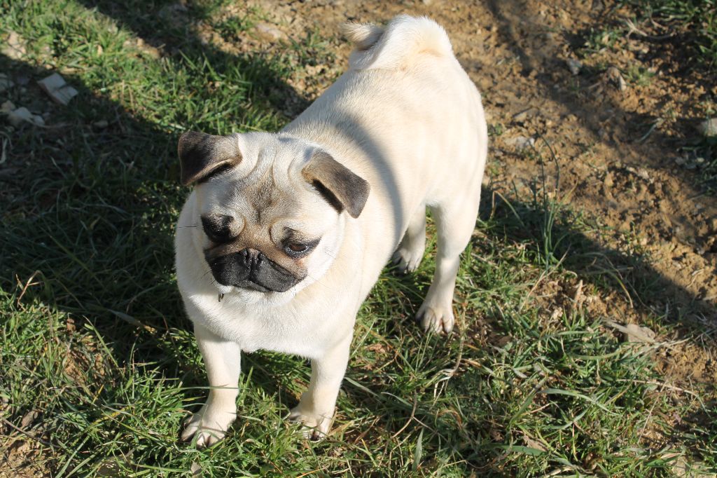 Publication : Des Terres De Miss Blue