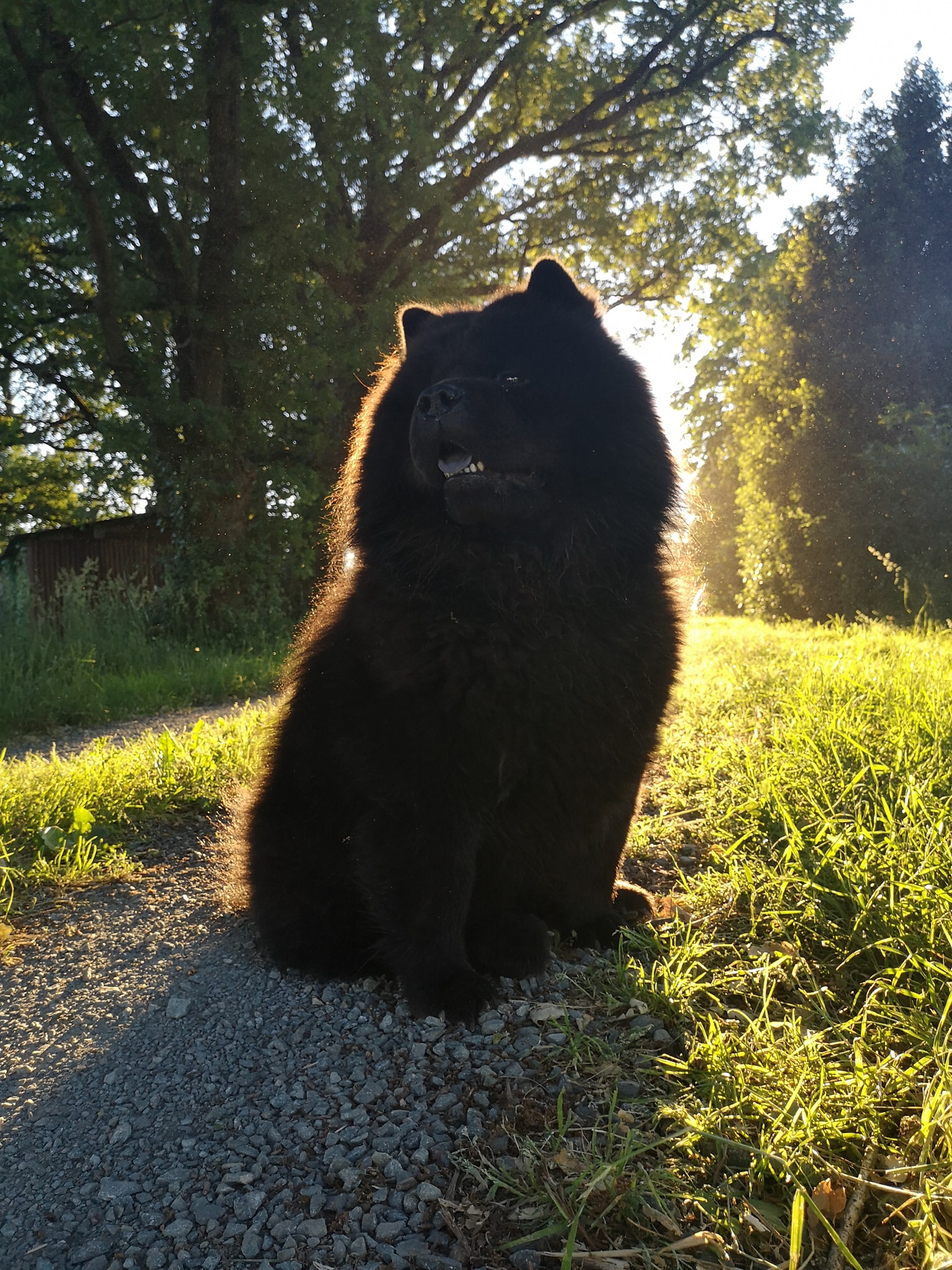 Publication : Du Moulin Des Ours Auteur : FLORIAN KARANTEZ