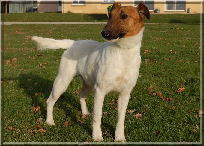 Lapero (Sans Affixe)