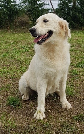 Publication : de l eternel mitness