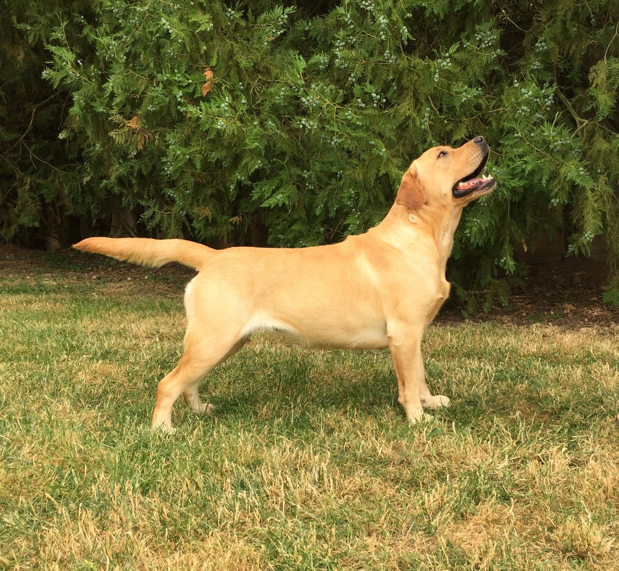 Nuit etoilee de la Vallée Cheron