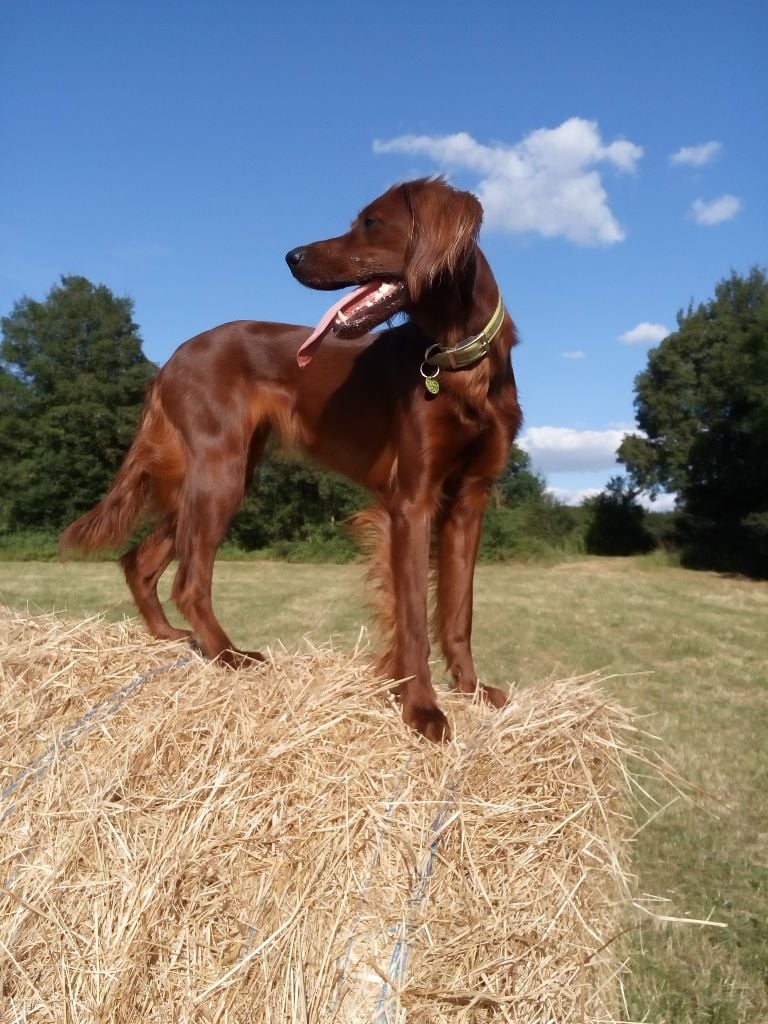 Lune De la vallée de cléry