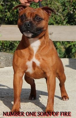 Number one Soan Of Fire