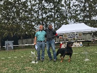 Étalon Rottweiler - CH. Jeff Sur La Voie De La Reconnaissance