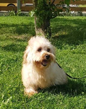 Publication : de l eternel mitness