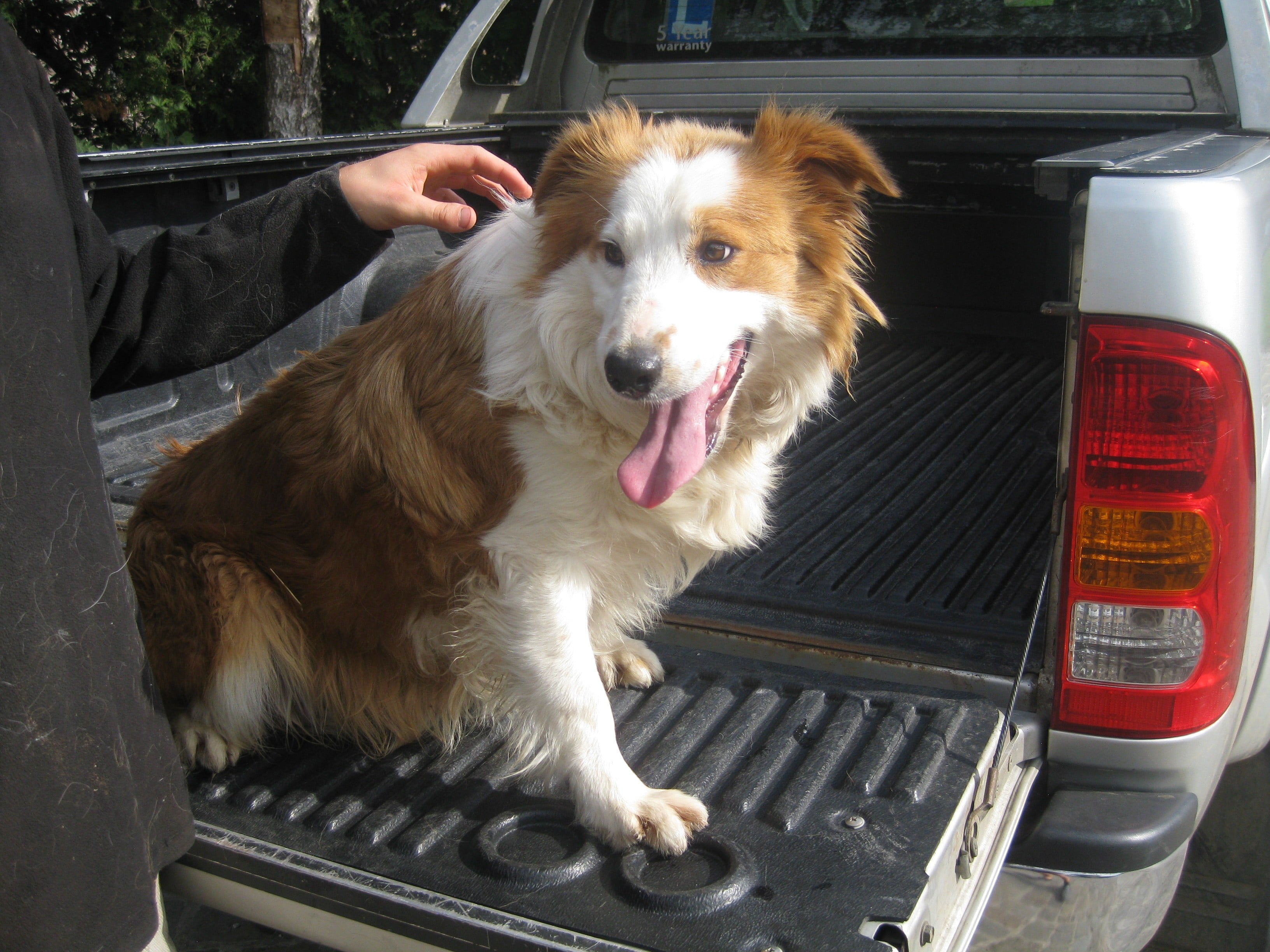 Publication : (Sans Affixe)