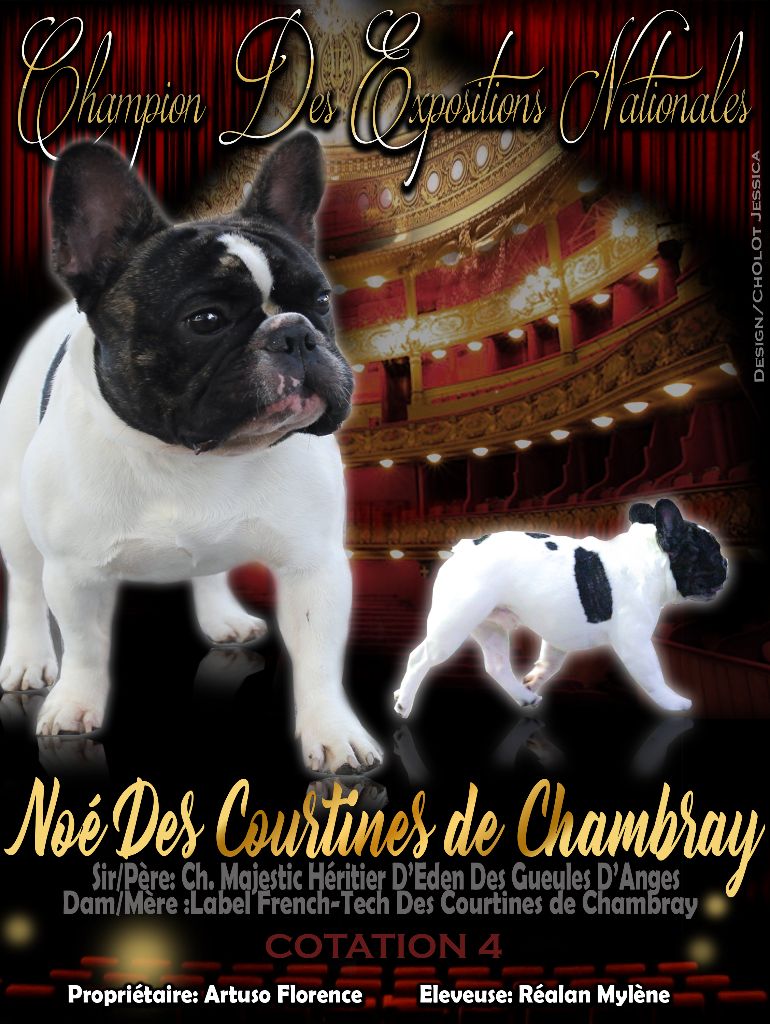 CH. Noé Des Courtines De Chambray