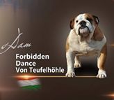 Forbidden dance von teufelhöhle