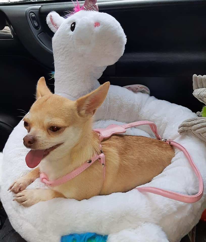 Naiade Du Domaine De La Ressière