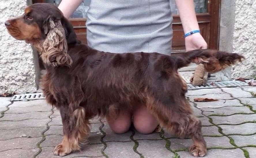 Publication : du cottage de sweet mi lady 