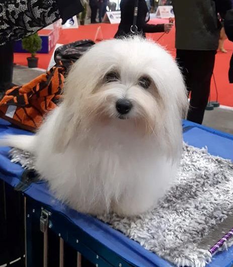 Publication : du courrier des îles 