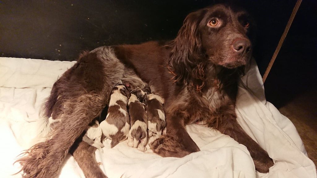 Publication : De La Rivière Ouareau 