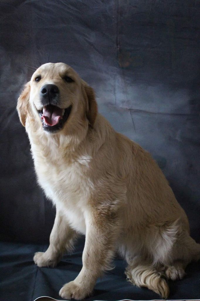 Publication : des Anges de la Claie