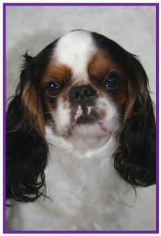 Publication : de Sorine