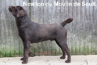 Newton Du Moulin Sault