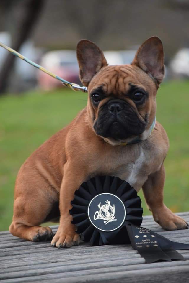 Publication : Du Domaine De La Lortière 