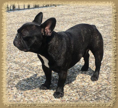 Publication : des gardiens de Leana 