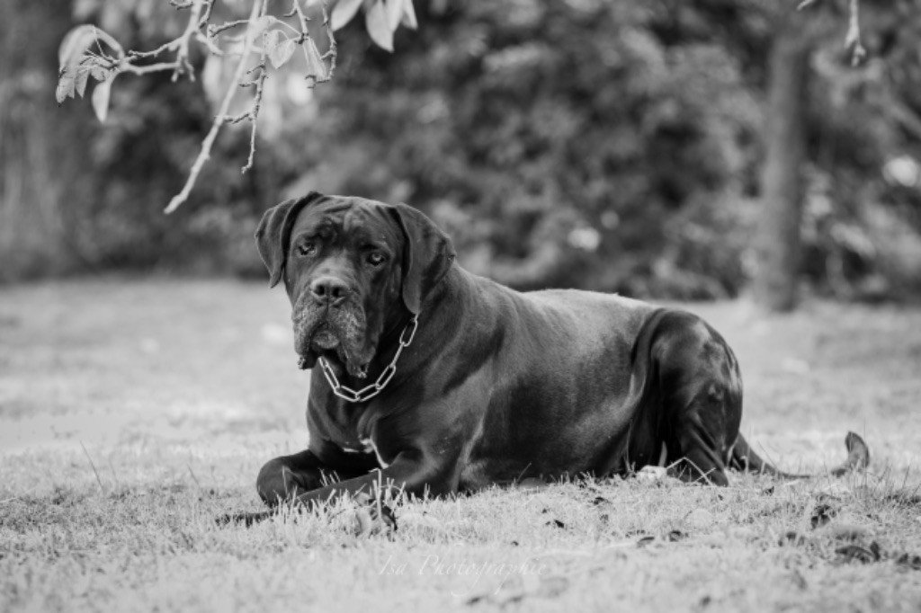 Lucy in the sky Du Gardien Des Dieux