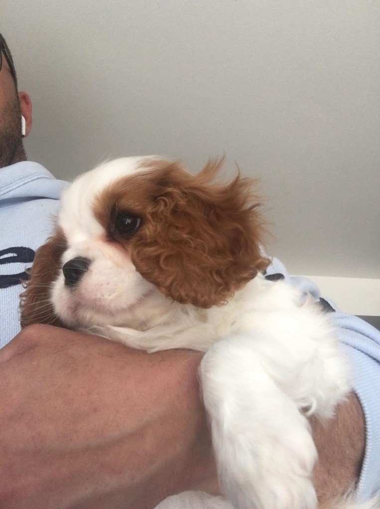 Publication : Oki square 