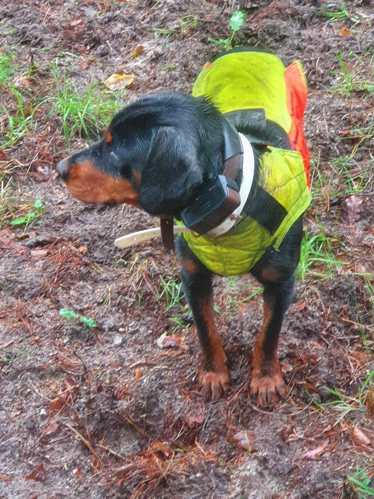 Publication : Des Courants De La Selle 